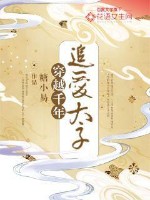 消失的蝴蝶发夹