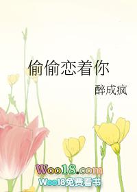偷偷爱着你歌词