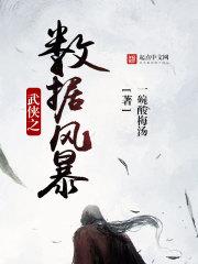 数据武侠系统 数据武侠系统