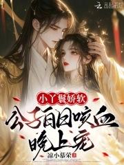 丫鬟和公子的古代言情