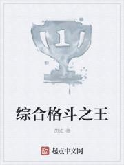 综合格斗gnp
