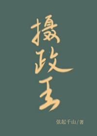摄政王的心尖宠1v1
