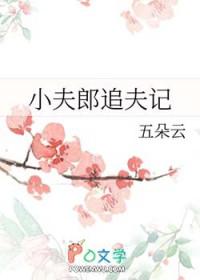 小夫郎追夫记全文免费阅读公众号
