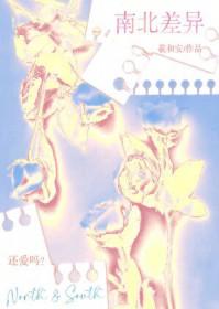 南北差异的文案