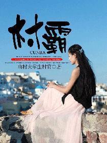 村霸打了新局长一顿