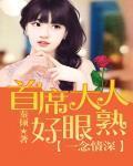一念情深慕少亲点吻txt