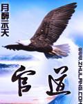 官道巅峰