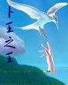 卜王之王TXT全集