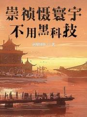 崇祯是什么