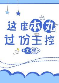 这座本丸过分主控 百度