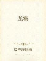 龙雾茶价格表