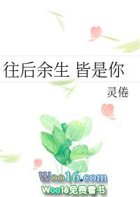 往后余生皆是你许意秋顾霆修