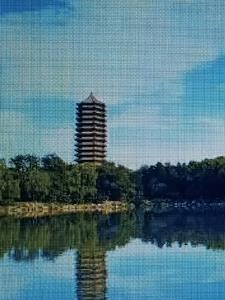 鸿缘国际肽疗是否合法 鸿缘国际肽疗是否合法