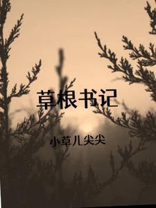 草根书记新评书