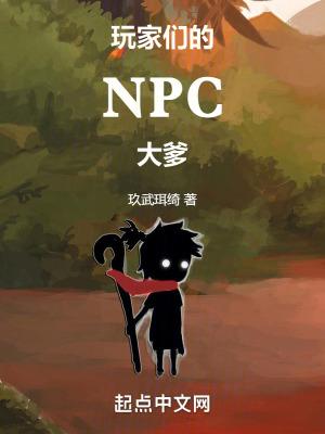 npc眼中的玩家 npc眼中的玩家