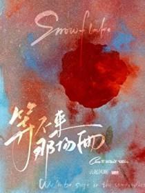 等不来就不等了