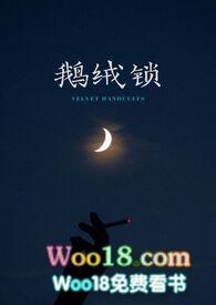 鹅绒锁txt 鹅绒锁txt