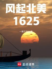 风起北美1625最新章节