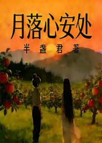 月落心安处全诗解释 月落心安处全诗解释