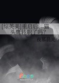 猫头鹰到 猫头鹰到