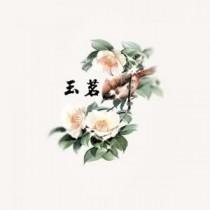 玉茗堂四梦 玉茗堂四梦