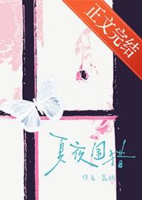 夏夜围猎TXT 夏夜围猎TXT