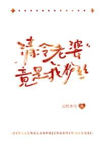 清冷老婆竟是我粉丝免费阅读 清冷老婆竟是我粉丝免费阅读