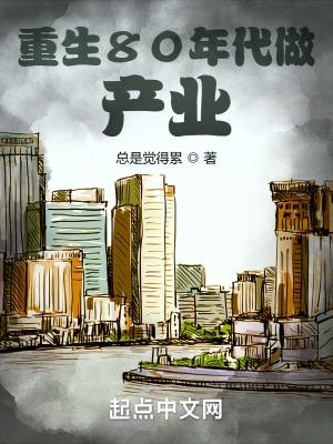 重生80年代发展重工业的