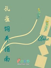 曹贼什么意思